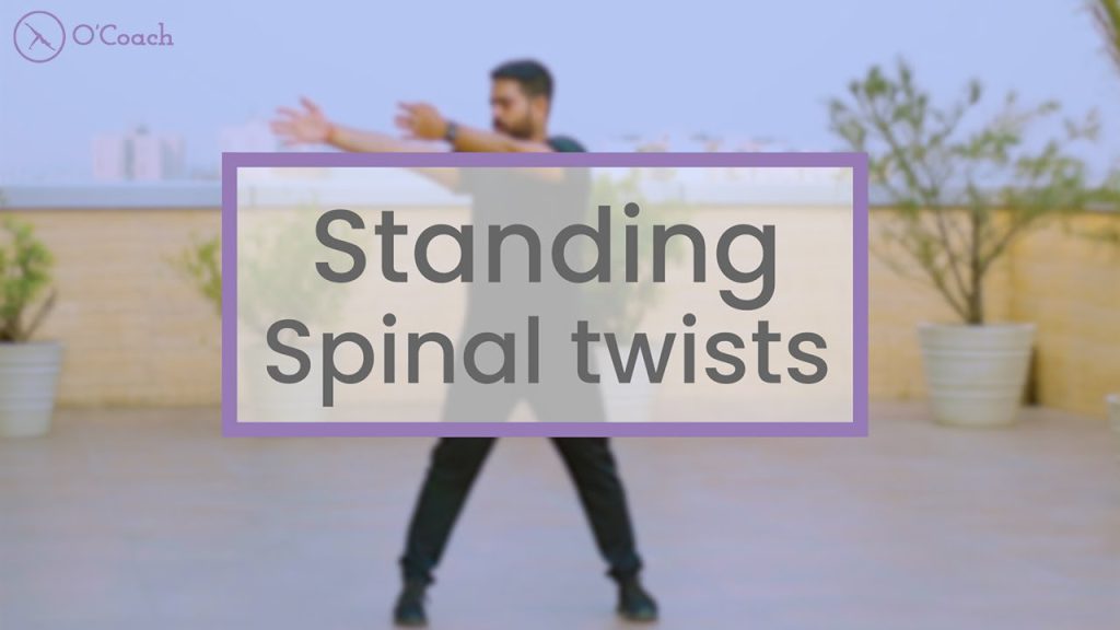 Standing Spinal Twists