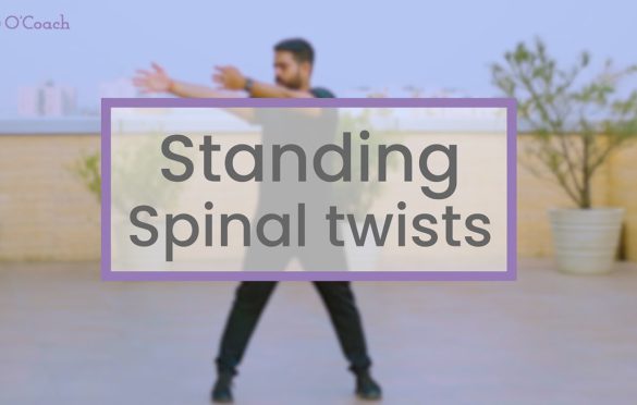 Standing Spinal Twist