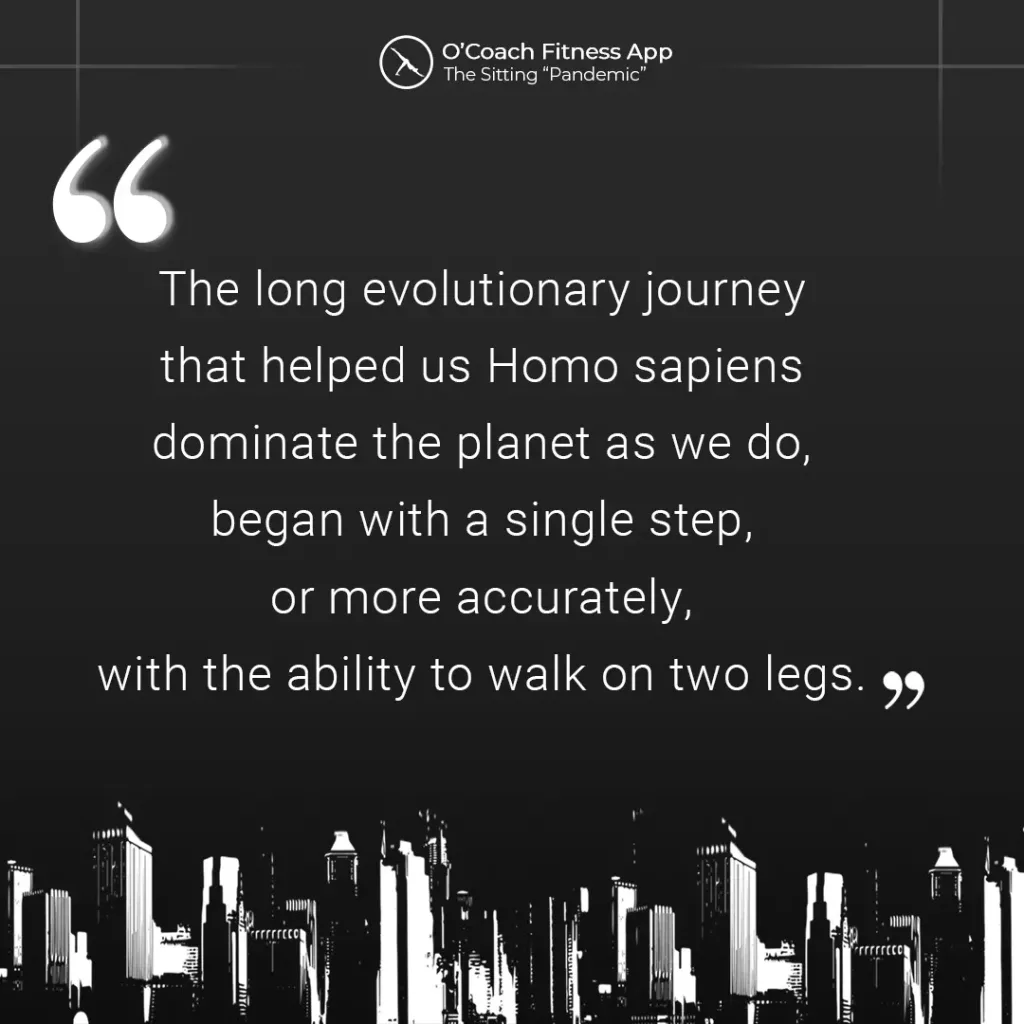 The evolution of human bipedalism