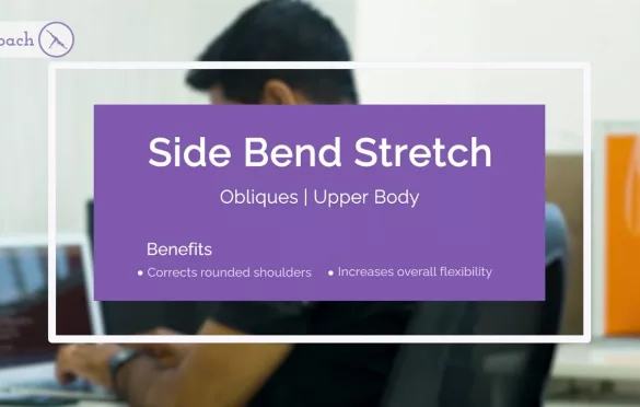 Seated Side Bend Stretch – Simple Stretching for Beginners
