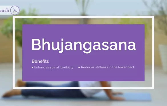 Bhujangasana Cobra Pose – Improve Flexibility And Relieve Stress