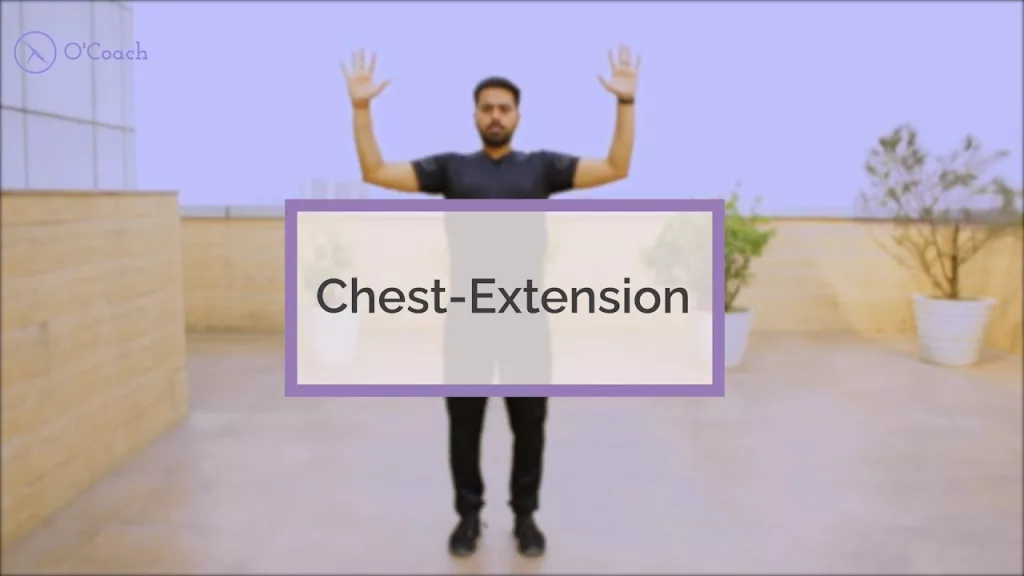 Chest extension