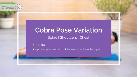 Cobra Pose Variation