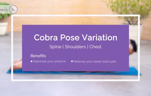 Cobra Stretch Exercise Plan